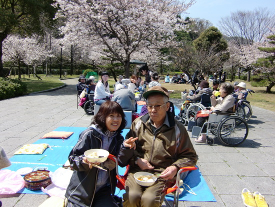 お花見